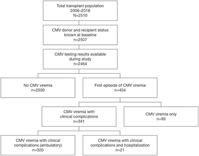 Viral load kinetics and the clinical consequences of cytomegalovirus in kidney transplantation